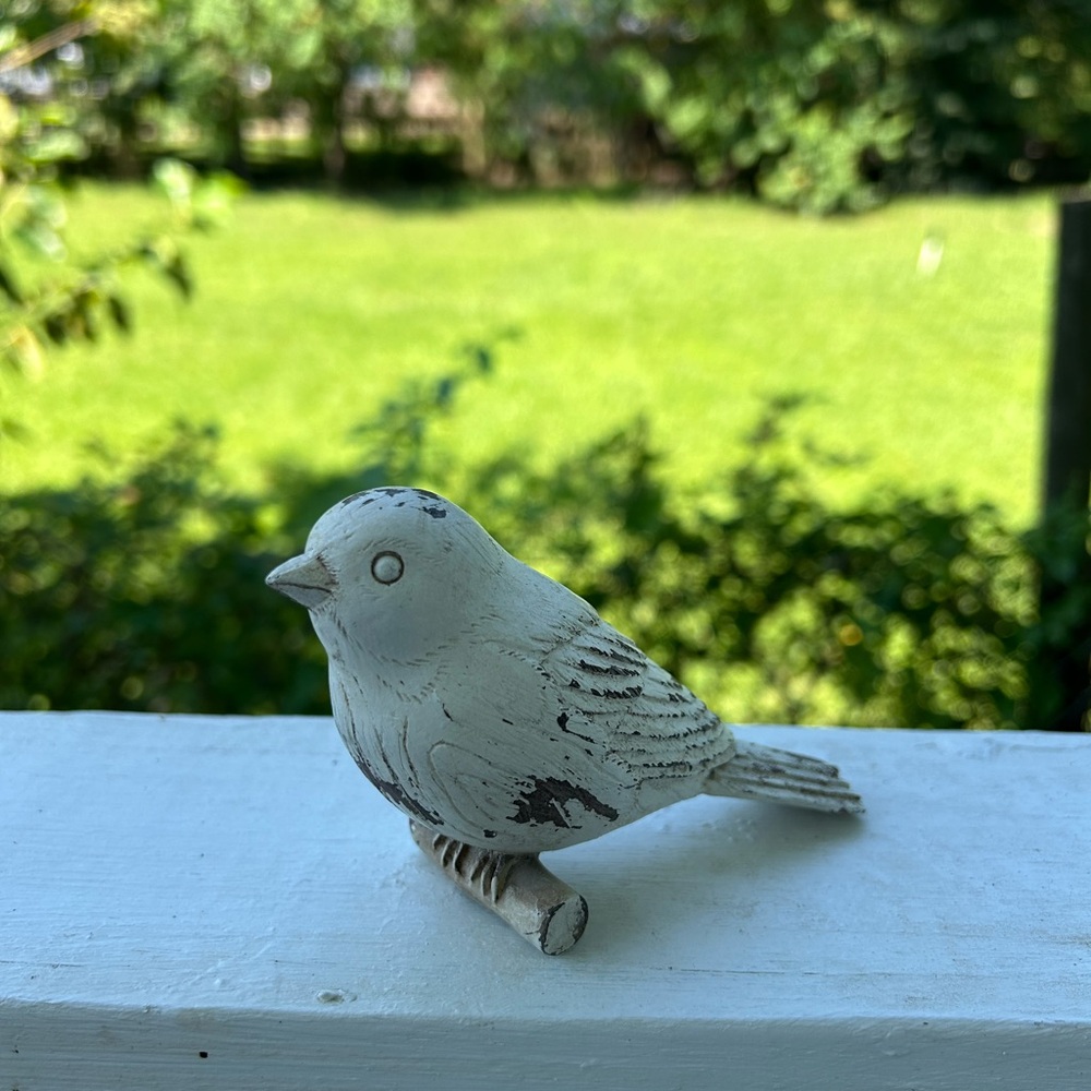 Bird - Picture 3 of 12
